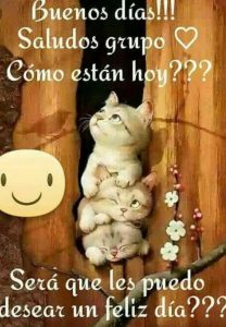 Mensajes De Buenos Dias Imagenes Para Mi Amor