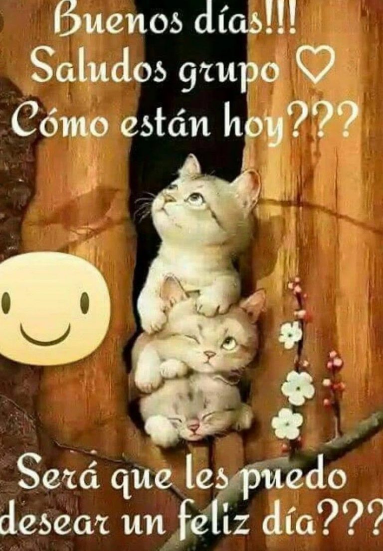 Mensajes De Buenos Dias Imagenes Para Mi Amor