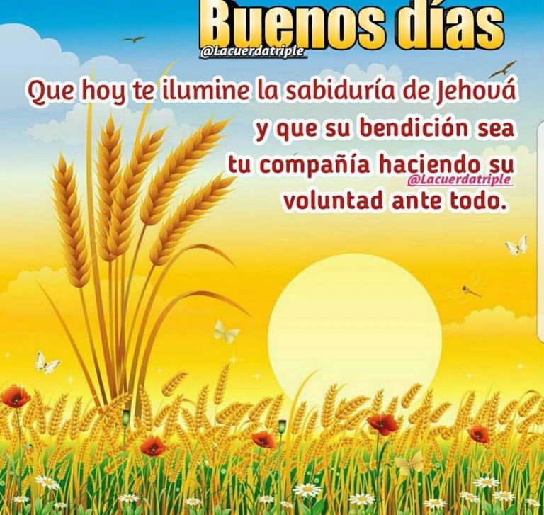 Mensajes De Buenos Dias Nuevos