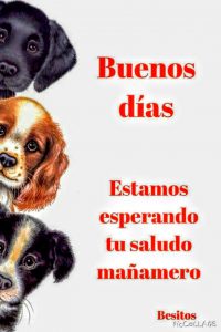Mensajes De Buenos Dias Para Descargar