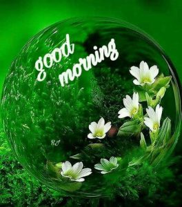 Mensajes De Buenos Dias Para El Para Facebook