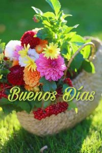 Mensajes De Buenos Dias Para Mi Amor Para Una Amiga