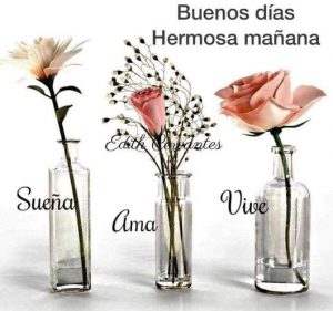 Mensajes De Buenos Dias Para Mi Novia Para Celular