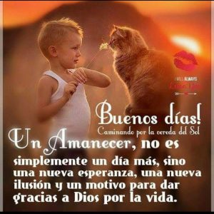 Mensajes De Buenos Dias Para Tu Amor Para Celular