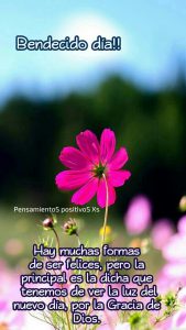 Mensajes De Buenos Dias Para Tu Novio Para Facebook