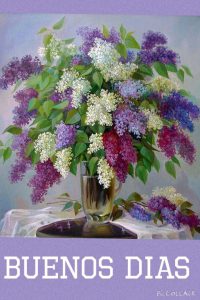 Mensajes De Buenos Dias Para Tu Novio Para Mi Amor