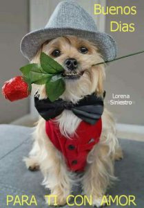 Mensajes De Buenos Dias Para Tu Novio Para Whatsapp