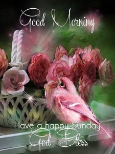 Mensajes De Buenos Dias Para Una Mujer Para Celular