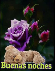 Mensajes De Buenos Dias Y Buenas Noches Para Celular