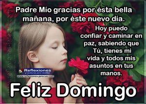 Mensajes De Dia Domingo Para Celular