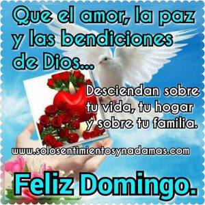 Mensajes De Domingo Feliz Para Celular