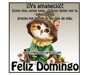 Mensajes De Domingo Para Celular