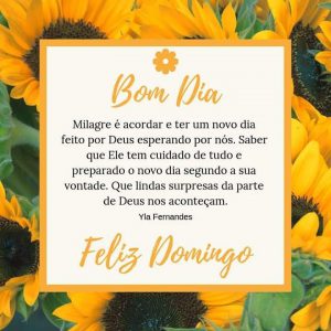Mensajes de feliz domingo para celular