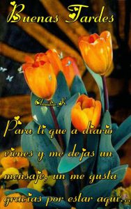Mensajes De Feliz Tarde Para Celular Para Whatsapp Celular