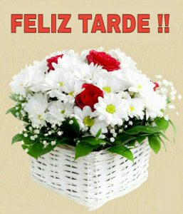 Mensajes De Feliz Tarde Para Facebook Y Whatsapp