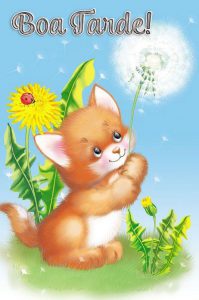 Mensajes De Feliz Tarde Para Mi Novio Para Whatsapp Celular