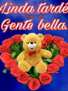 Mensajes De La Tarde Para Whatsapp Celular