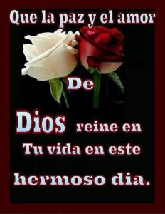 Mensajes De Los Buenos Dias Para Descargar