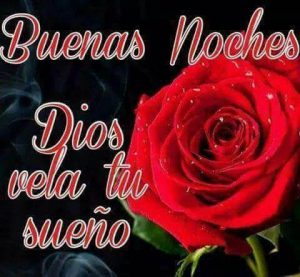 Mensajes De Muy Buenas Noches Para Facebook