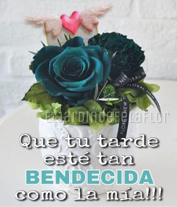 Mensajes De Tarde Para Whatsapp Celular