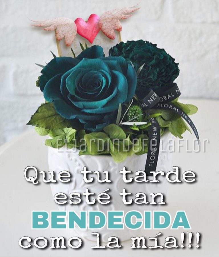 Mensajes De Tarde Para Whatsapp Celular
