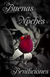 Mensajes Dulces De Buenas Noches Para Celular