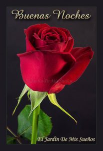 Mensajes Dulces De Buenas Noches Para Whatsapp