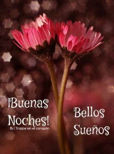 Mensajes Dulces Sueños Para Whatsapp