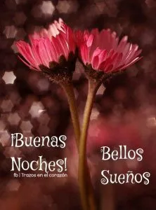 Mensajes dulces sueños para WhatsApp
