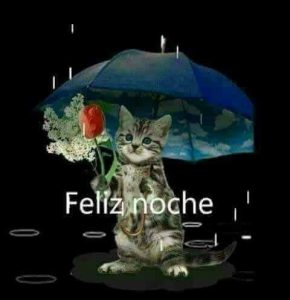 Mensajes Hermosos De Buenas Noches Para Mi Amor Para Facebook