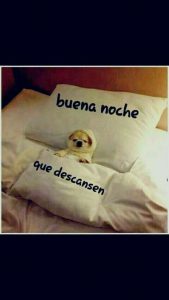 Mensajes Hermosos De Buenas Noches Para Whatsapp