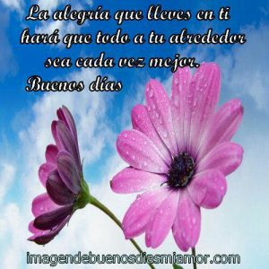 Mensajes Hermosos De Buenos Dias