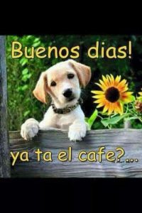 Mensajes Hermosos De Buenos Dias Para Whatsapp