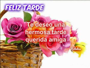 Mensajes Linda Tarde Para Whatsapp Celular