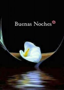 Mensajes Lindos D Buenas Noches