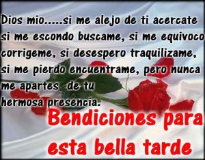 Mensajes Lindos De Buenas Tardes Para Whatsapp Celular