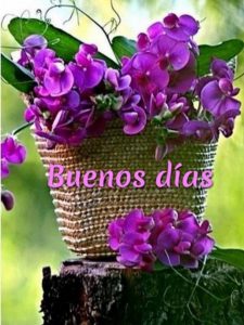 Mensajes Lindos De Buenos Dias Para Enamorar Para Mi Amor