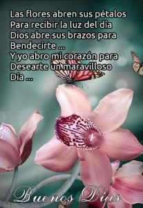 Mensajes Lindos De Buenos Dias Para Enamorar Para Una Amiga