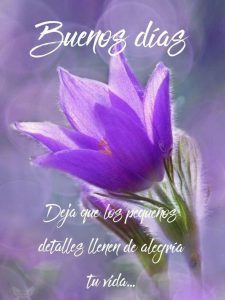 Mensajes Para Buenos Dias Para Una Amiga