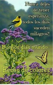 Mensajes Para Buenos Dias Para Whatsapp