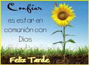 Mensajes Para Desear Buenas Tardes Para Facebook Y Whatsapp