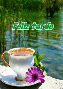 Mensajes Para Desear Feliz Tarde Para Whatsapp Celular