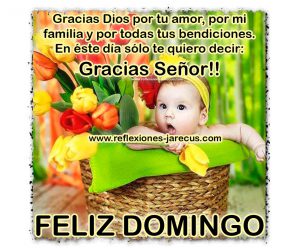 Mensajes Para Desear Un Feliz Domingo Para Celular