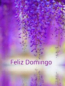 Mensajes para domingo para celular