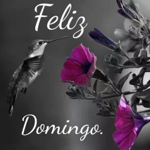 Mensajes Para El Dia Domingo Para Celular