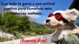 Mensajes Se Buenos Dias Para Mi Amor