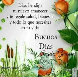 Mensajes Se Buenos Dias Para Whatsapp