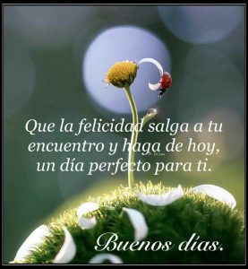 Msg De Buenos Dias Para Facebook