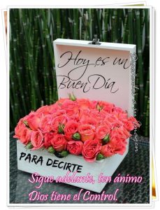 Msj Buenos Dias Amor Para Celular