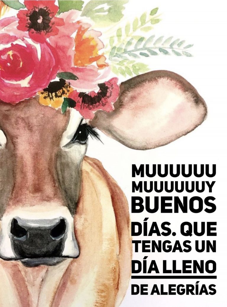 Msj Buenos Dias Para Celular